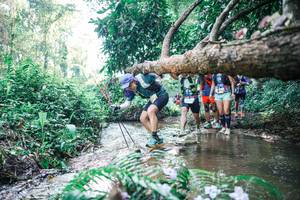 BIB: 
                            <button type="button" onclick="openModal(25450078)" class="btn btn-primary btn-sm float-right btn-popup" data-toggle="modal" data-target=".modal-high-quality">
                        <i class="fas fa-shopping-cart"></i> Add to Cart
                    </button>
                                            <button type="button" onclick="isThisMe(25450078, true)" class="btn btn-success btn-sm float-right btn-popup btn-isme hidden" data-toggle="tooltip" data-placement="bottom" title="นี่คือรูปของคุณใช่ไหม คลิกที่นี่เพื่อเอาเข้าอัลบั้ม">
                        <i class="fas fa-plus"></i> Add to album
                    </button>
                    <button type="button" onclick="isThisMe(25450078, false)" class="btn btn-warning btn-sm float-right btn-popup btn-isnotme hidden">
                        <i class="fas fa-ban"></i> Remove from album
                    </button>